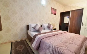 اتاق دو تخته دبل (اقامت با صبحانه)