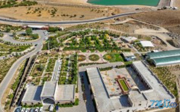 ابیانه