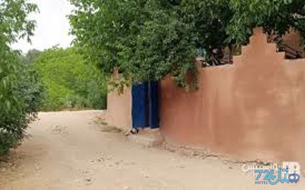 دوستان