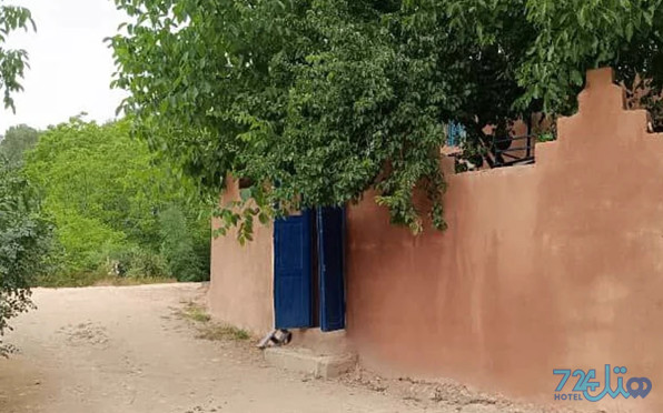 دوستان
