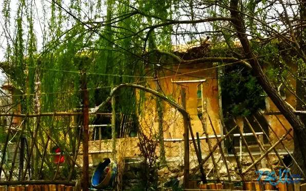 بوم کلبه کهکران