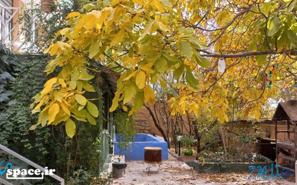 موریکش برشنه