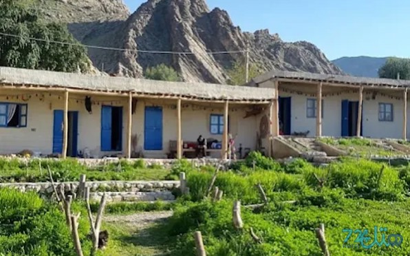 تاریشا