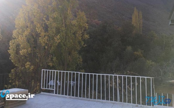 زشک زیبا